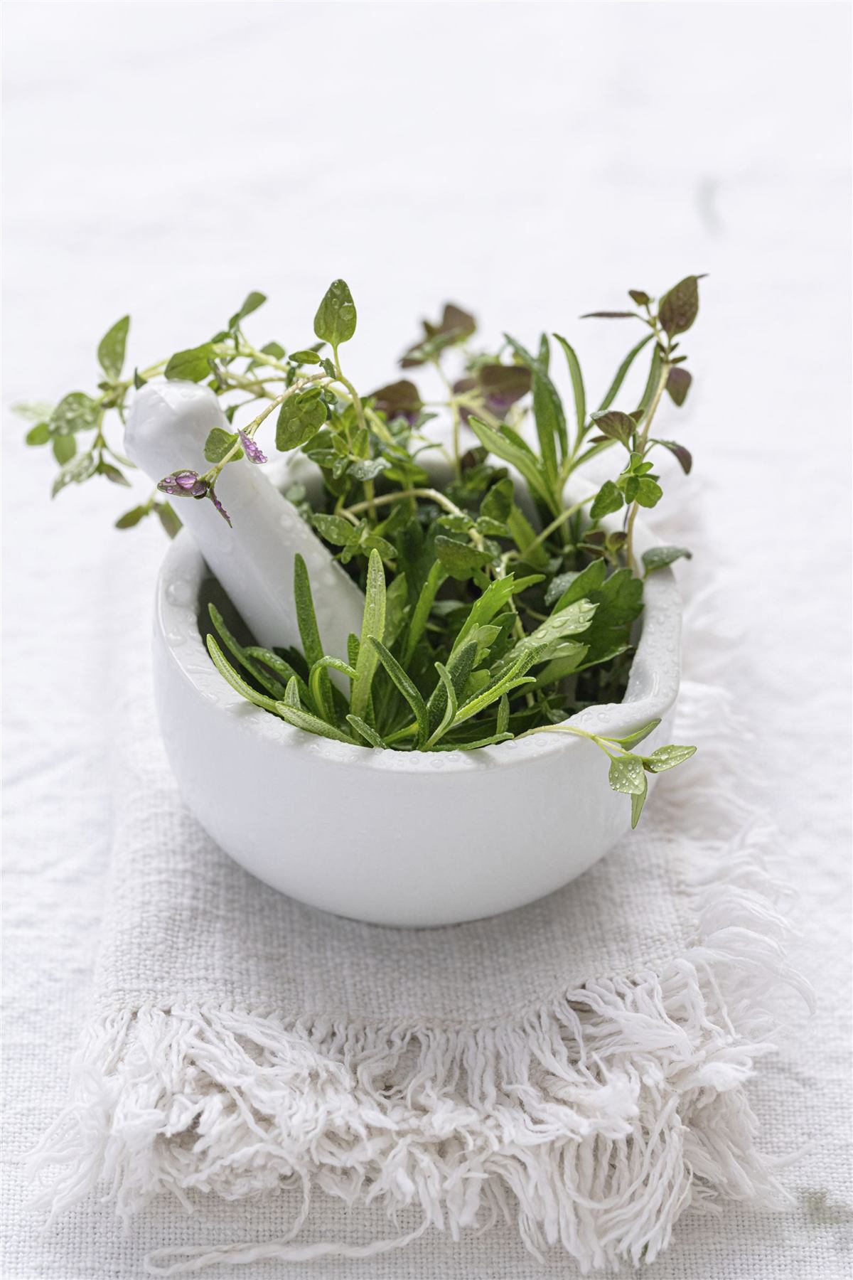 Fresh herbs in a white mortar