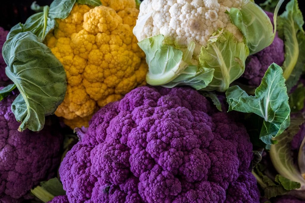 Purple, yellow and white cauliflowers