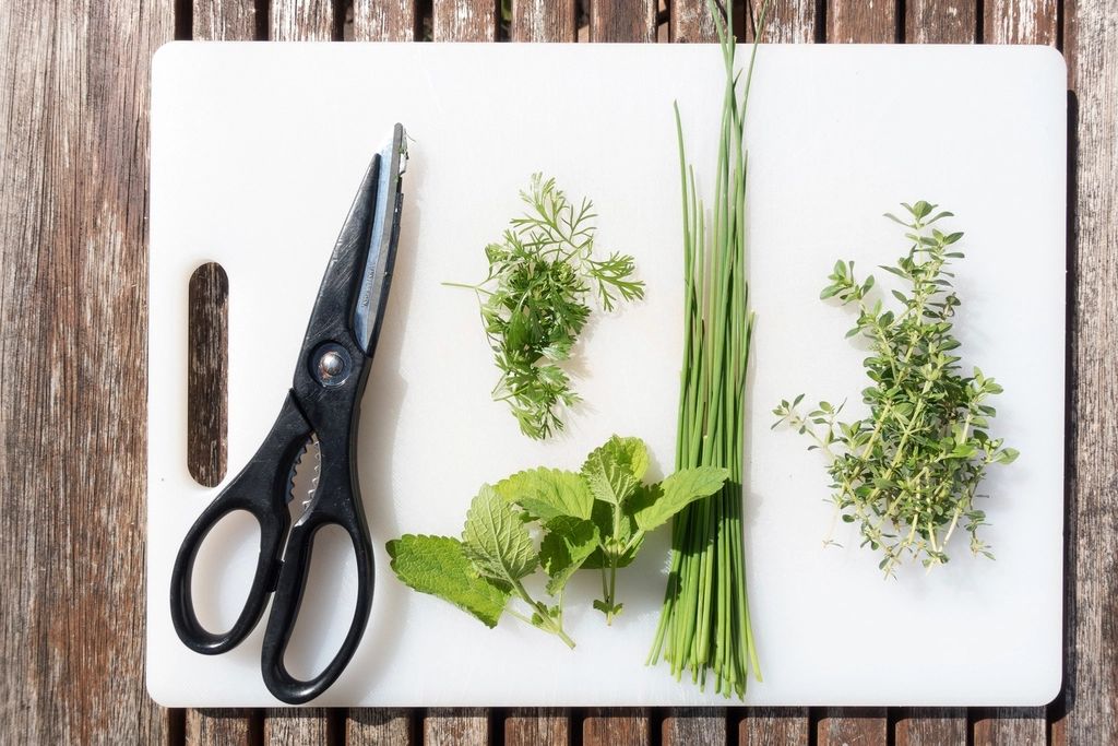 Fresh herbs on a chopping board